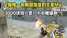 全服唯一有胸部加成的王者M4！3000块钱一套啊！