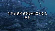 诗巴丹杰克风暴#水下摄影 #海底世界 #潜水 #潜到海底去看你