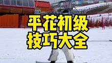 首发！全网超全平花初级技巧大全！赶紧收藏起来跟着练！#全民冰雪季#就亿点想滑雪