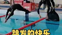 自由潜运动，趣味无处不在。#水上运动 #自由潜水 #日常训练