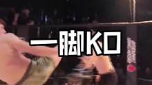 一脚KO#综合格斗 #mma #自由搏击 #ufc #ko