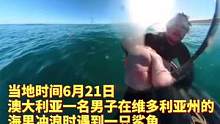 澳洲一男子冲浪时遇到鲨鱼，快速反应后惊险逃脱#国是论坛