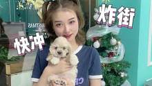 你们万众期待的小狗来了，快去炸街！