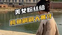 美女粉丝给鳄鱼刷牙！#鳄珍 #鳄鱼