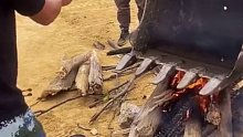 蓝翔新东方双硕士
