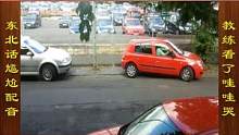东北话搞笑配音，教练看了这位女司机，直呼不是他教的 #搞笑配音 #搞笑视频