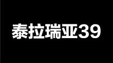 泰拉瑞亚39