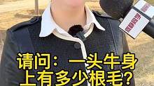 一头牛身上有多少根毛？
