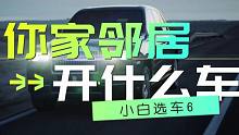 你家邻居都开什么车？大部分20万以内 坐标北京通州（小白选车6）