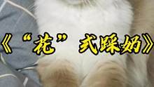 谁家的猫咪这么大了还踩奶呀#布偶猫 #抖音小助手 #抖in宝贝计划 #萌宠出道计划 #抖in萌宠计划