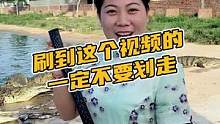 刷到这个视频的一定不要划走#鳄珍 #鳄鱼 #腰带 #盛