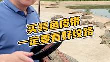 买鳄鱼皮带一定要看好纹路#鳄珍 #鳄鱼 #腰带 #盛