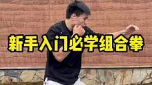 新手入门必学组合拳#拳击 #组合拳 #格斗