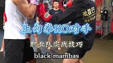 实战KO技巧，上勾侧切位组合击打#拳击 #自由搏击 #ko