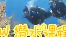 PADI OW潜水教程I#padi潜水#潜水 #水肺潜水