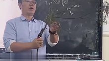 农业大学老师沉浸式教学，园林课上手把手教你修枝