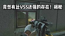 竟然能秒杀VSS 揭秘幕后最强存在 逃离塔科夫