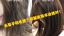 头发干枯毛躁？那是洗发水没选对！