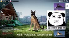 宠物系统开了，带上猫和狗拍个照吧！