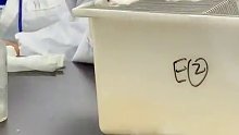 你在这给我按摩呢