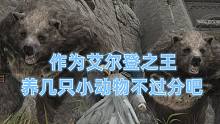 【艾尔登法环】作为艾尔登之王，养几只小动物不过分吧