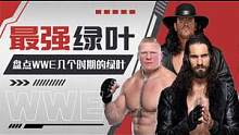 WWE：不是台柱却胜似台柱！盘点WWE几个时期的最强绿叶 #WWE #体育 #竞技 #wwe