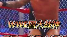 #wwe 盘点WWE巅峰时期无敌的四大战神，哪个是你喜欢的#拳击比赛 #摔角