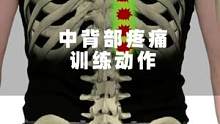 功能性训练-中背部训练动作#功能性训练 #运动表现 #体能训练 #训练日常