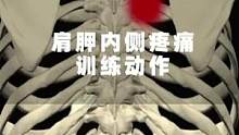 功能性训练-肩胛内侧疼痛训练动作#功能性训练 #体能训练 #训练日常