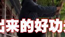 站出好功夫！四平马的练法 #八极拳
