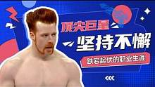 WWE：巨星用跌宕起伏的人生告诉我们，只有坚持不懈才能成功 #WWE #混剪 #希莫斯 #台前幕后大