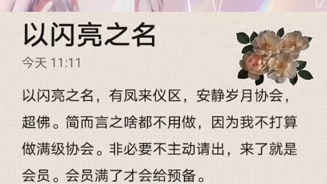 以闪亮之名游戏协会招人