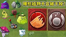 pvz2：哪些植物能够承受，火焰和滚石的双重打击？