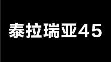 泰拉瑞亚45