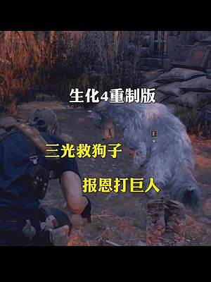 《生化危機(jī)4》重制版。三光救狗子，報(bào)恩一起打巨人#生化危機(jī)4重制版 #影視解說(shuō) #游戲解說(shuō) #單機(jī)游
