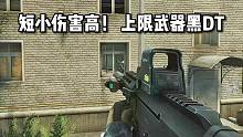 短小但是伤害高 上限最高黑DT 逃离塔科夫