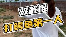 双截棍打鳄鱼第一人#鳄珍 #鳄鱼 #鳄鱼小镇
