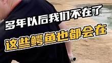 多年以后我们都不在了，这些鳄鱼也都还会在。#鳄珍 #鳄鱼