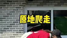 450平破房大改造，我要把露台的池子改成迷你牧场！！#我的装修日记 #旧房改造