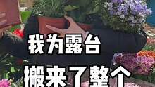 450平破房改造，我用60盆鲜花打造出了梦想中的空中花房#旧房改造 #我的装修日记