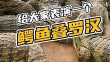 给大家表演一个鳄鱼叠罗汉#鳄珍 #鳄鱼#鳄鱼小镇