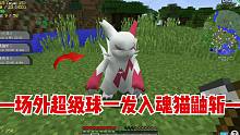 我的世界朱紫宝可梦3：什么是欧皇，场外一发入魂猫鼬斩！