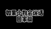 如果小狗会说话~~财家小狗回家篇