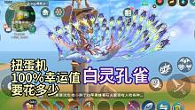 获得孔雀要花多少？幸运扭蛋机开抽！创造与魔法白灵孔雀资质速度外观展示