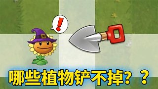 植物大戰(zhàn)僵尸2：哪些植物不能被鏟掉？