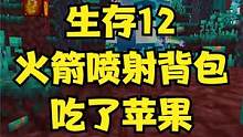 1.19幸运生存12火箭背包可以弹射，神秘苹果吃了就不能跳 #叶枫的日常