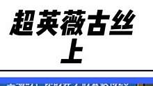 新版赌狗阵容，超英薇古丝！了解一下！#云顶之弈 #金铲铲之战