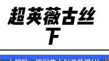 新版赌狗阵容，超英薇古丝！成型即可嘎嘎乱杀！#云顶之弈 #金铲铲之战