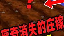 游戏中的庄稼离奇消失，竟是一个黑色的实体干的！ #我的世界 #诡异事件 #我的世界都市传说 #mc不