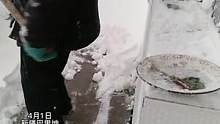 4月的第一天，巴里坤县域迎来降雪，车门都打不开